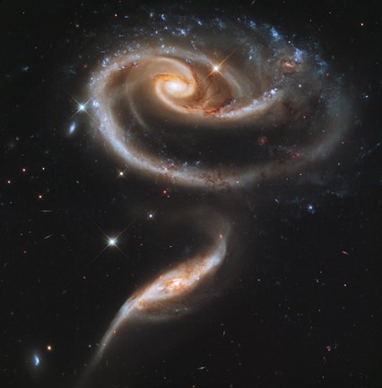 Framed &quot;&quot;Rose&quot;&quot; Made of Galaxies Highlights Hubble&#39;s 21st Anniversary Print
