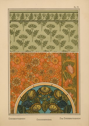 Framed Plate 71 - Chrysanthemum Print