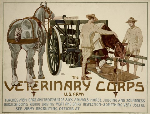 Framed Veterinary Corps Print