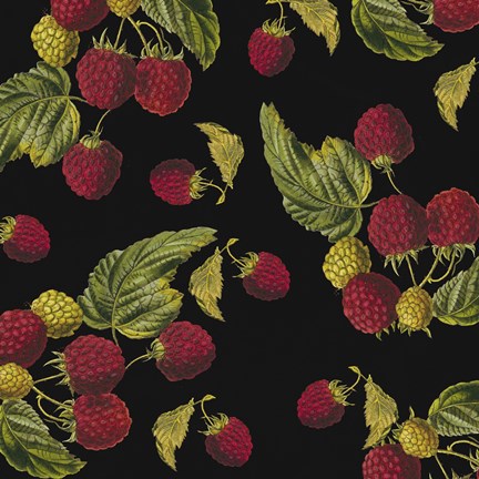 Framed Nature&#39;s Bounty -  Raspberries Print
