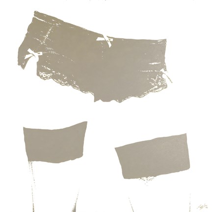 Framed Panties Print