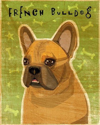 Framed French Bulldog Fawn Print