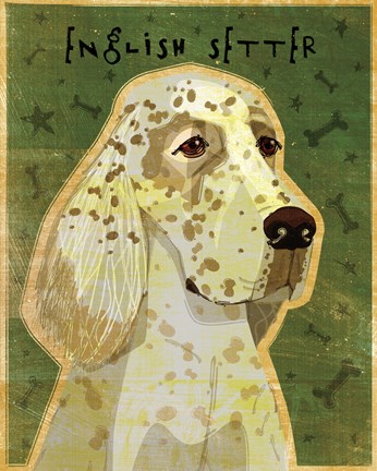 Framed English Setter Print