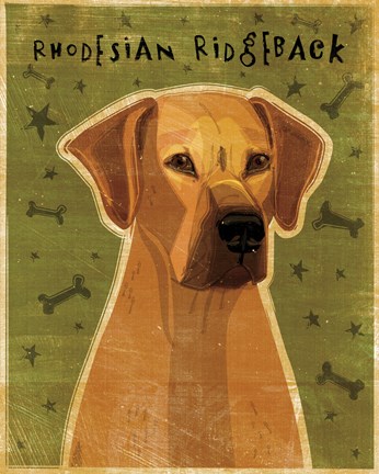 Framed Rhodesian Ridgeback Print
