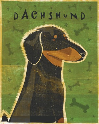 Framed Dachshund (black and tan) Print