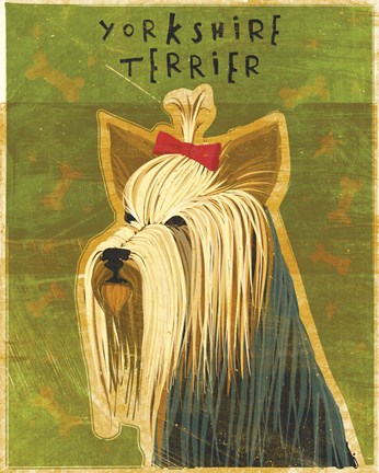 Framed Yorkshire Terrier Print