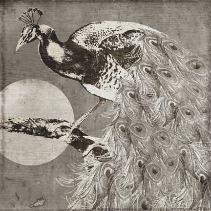 Framed Moon Peacock Print