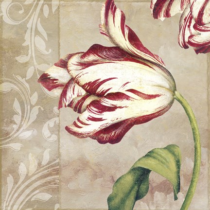 Framed Peppermint Tulips II Print