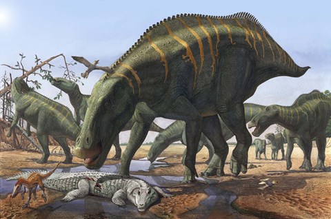 Framed Shantungosaurus Dinosaurs Print