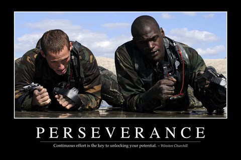 Framed Perseverance: Inspirational Quote and Motivational Poster Print