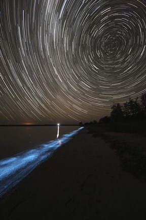 Framed Star Trails over Bioluminescence Print