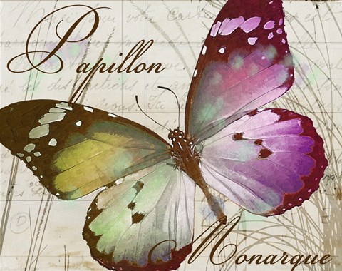 Framed Papillon II Print
