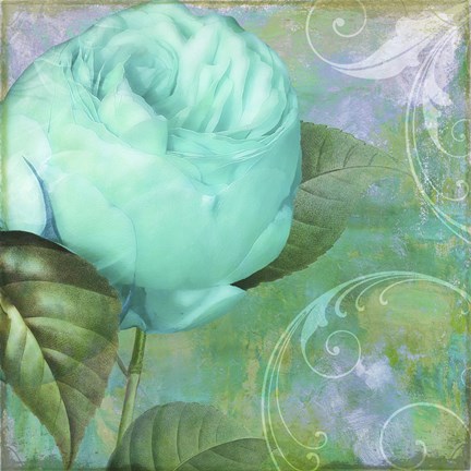 Framed Aqua Rose I Print