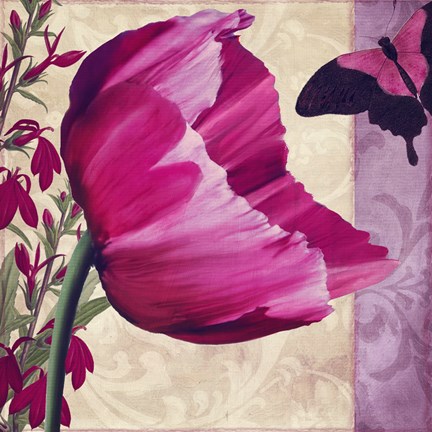 Framed Pink Poppy II Print