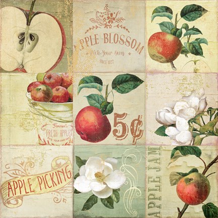 Framed Apple Blossoms IV Print