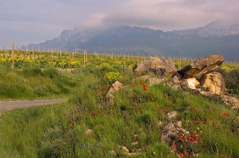 Framed Wildflowers surround the Sacred Burial Site, Elvillar Village, La Rioja, Spain Print