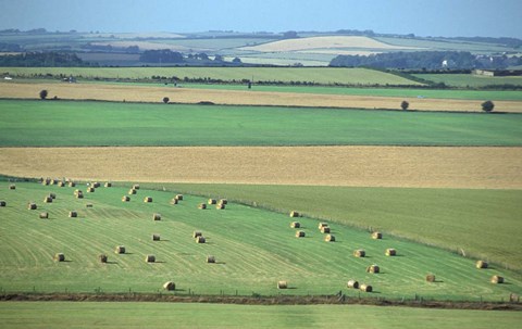 Framed Fields at Harvest Time, Dorset, England Print