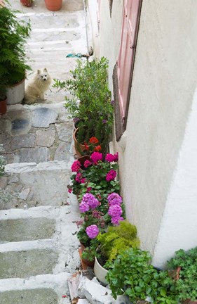 Framed Street Detail, Vathy, Samos, Aegean Islands, Greece Print