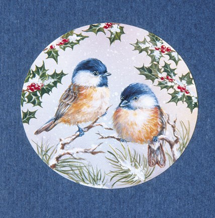 Framed Birds and Mistletoe Print