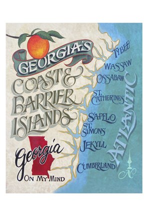 Framed Georgia Coast Beach Map Print