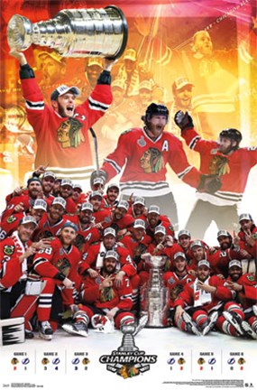 Framed 2015 Stanley Cup - Celebration Print