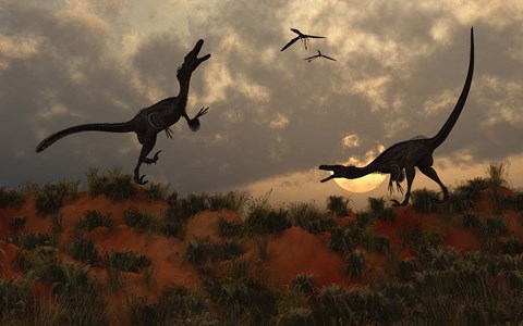 Framed Pair of Velociraptors Print