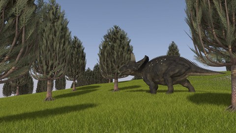 Framed Triceratops Walking across a Grassy Field 2 Print