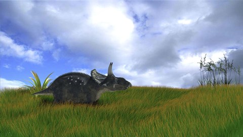 Framed Triceratops Walking across Prehistoric Grasslands Print