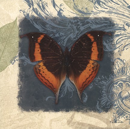 Framed Swirl Butterfly II Print
