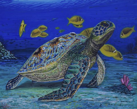 Framed Turtle Tale Print