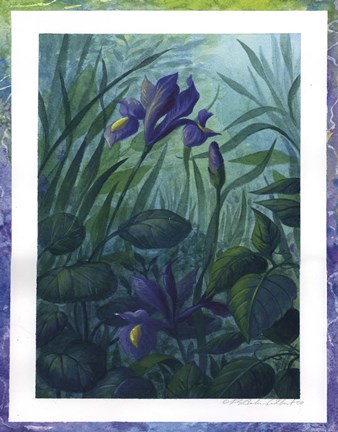 Framed Water Iris Print