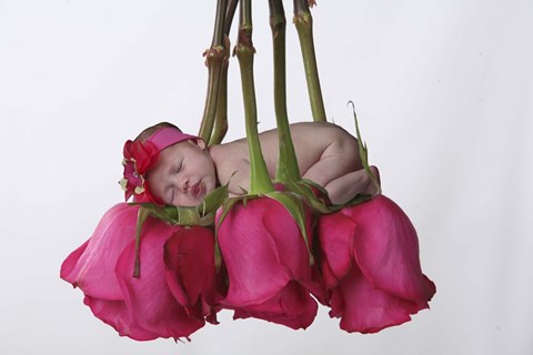 Framed Baby Sleeping On Roses Print