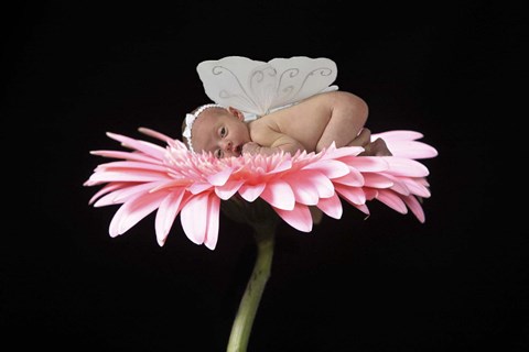 Framed Stockberger Lisa Baby In Flower Print