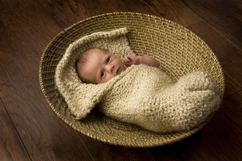 Framed Allen Baby In Basket Print
