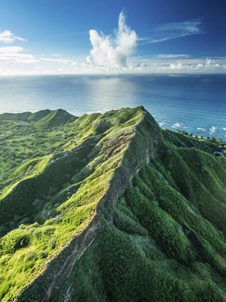 Framed Diamond Head Summit Print