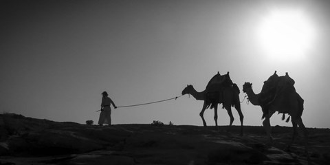 Framed Camel Trip, Jordan Print