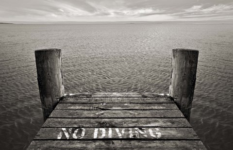 Framed No Diving Print