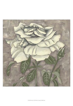 Framed Silver Rose I Print