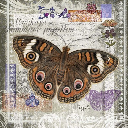 Framed Butterfly Artifact II Print