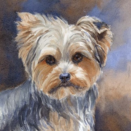 Framed Sadie Belle Yorkshire Terrier Print