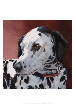 Framed Chloe Dalmatian Print