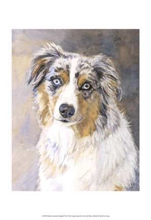 Framed Maddie Australian Shepherd Print