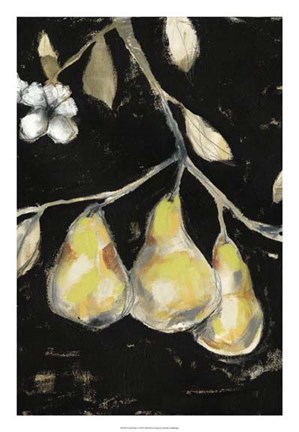 Framed Fresh Pears I Print