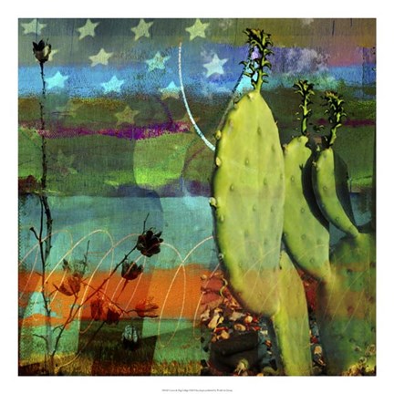 Framed Cactus &amp; Flag Collage Print
