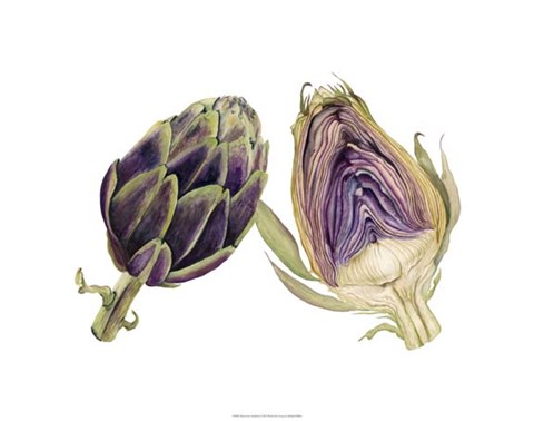 Framed Watercolor Artichoke Print