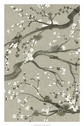 Framed Neutral Cherry Blossoms II Print