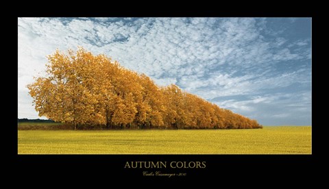 Framed Autumn Colors 1 Print