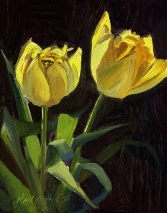 Framed Yellow Tulips Print