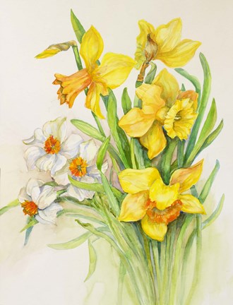 Framed Daffodils- Springs Calling Card Print