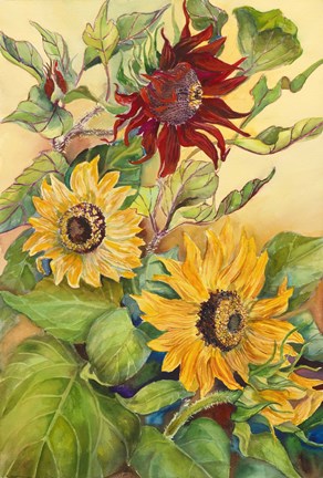 Framed Rust Sunflower Print